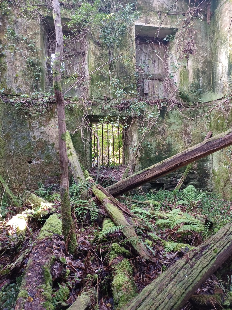 Old paper factory reclaimed by moss and trees.