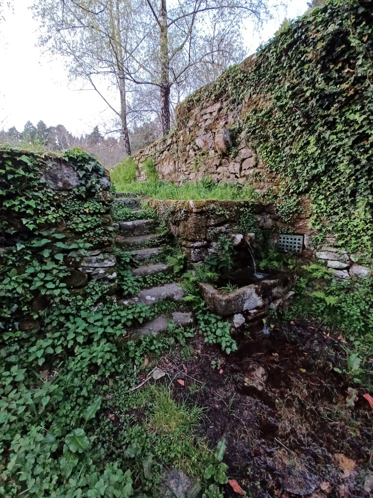 Old stairwell covered in moss and vines.